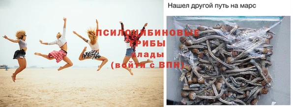 гидропоника Аркадак