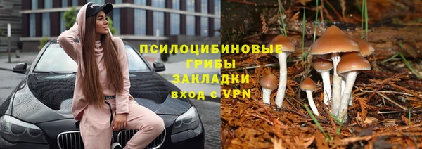 соль курить ск Армянск