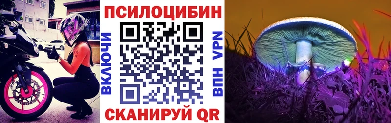 Купить закладки  Трёхгорный  Псилоцибиновые грибы GOLDEN TEACHER 