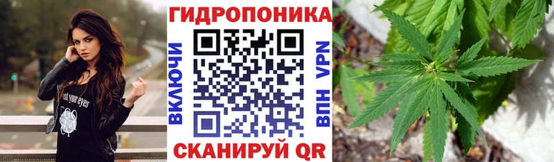 Бошки марихуана марихуана Купить где Трёхгорный